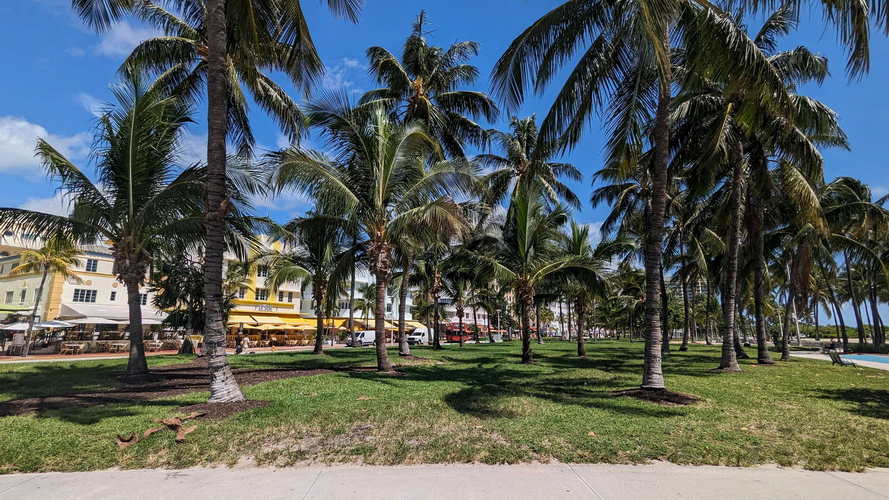 MIA_2023-08-16 11-36-19_PXL_20230816_153619296
